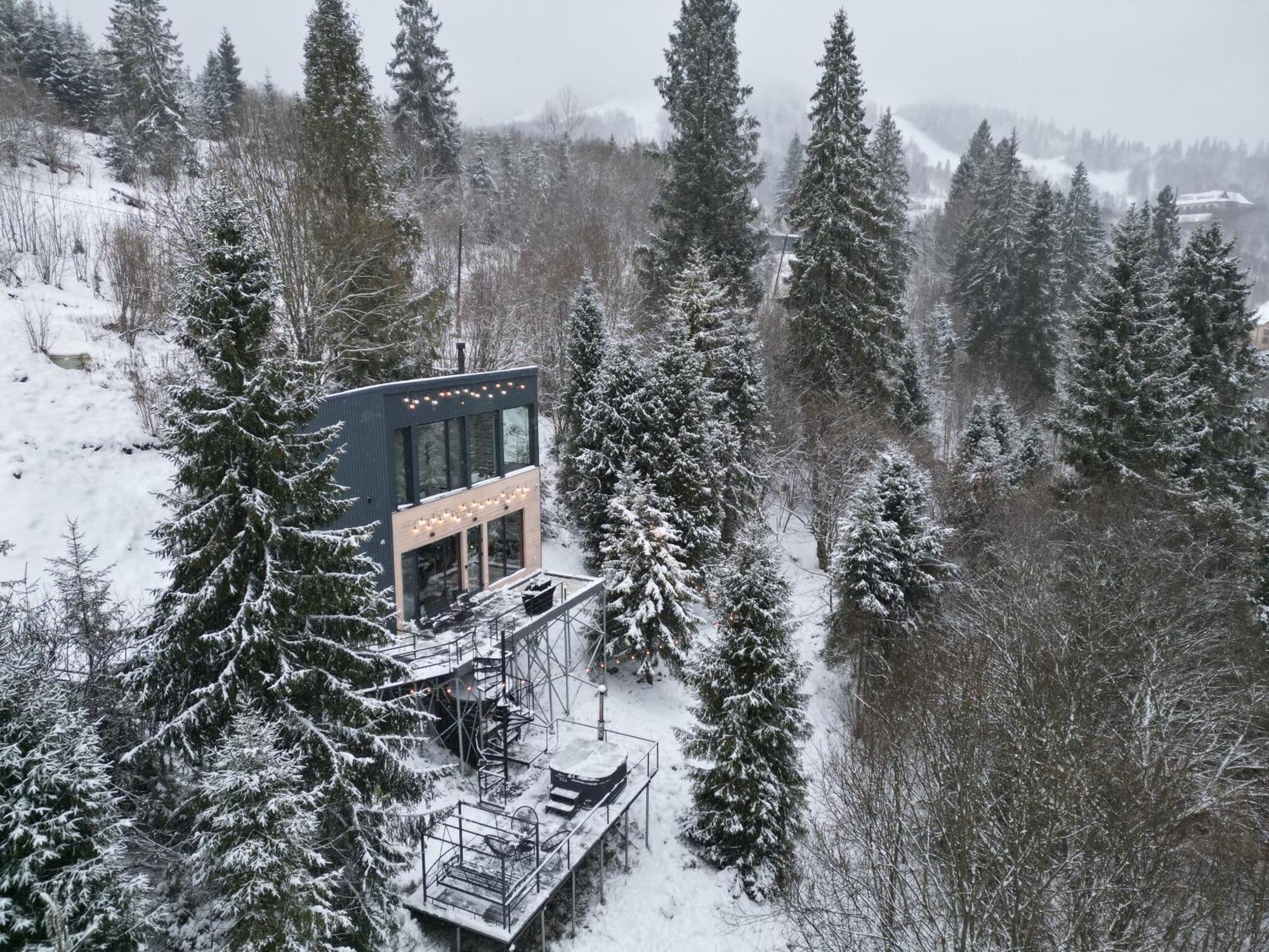 Forest Hub Villa Slavske Exterior photo